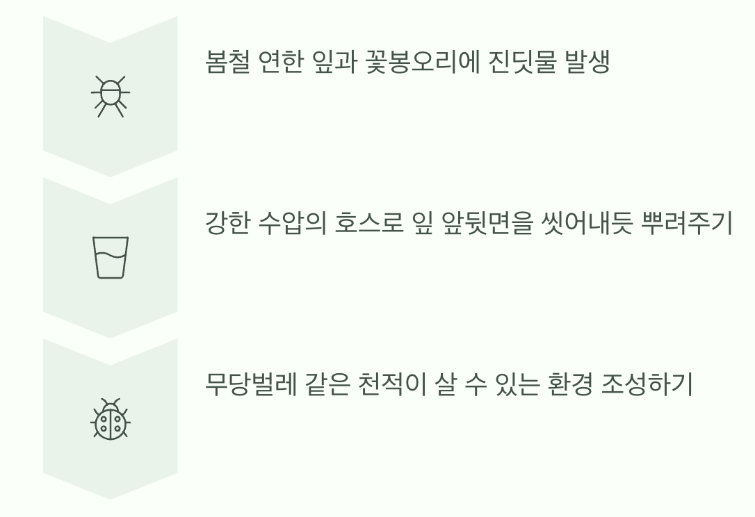 진딧물과의 전쟁&amp;#44; 가장 쉬운 해결책