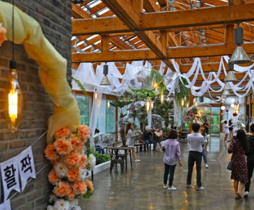 곡성장미꽃축제