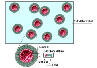드라이클리닝 표기 확인 집에서 관리와 세탁망 활용법_3