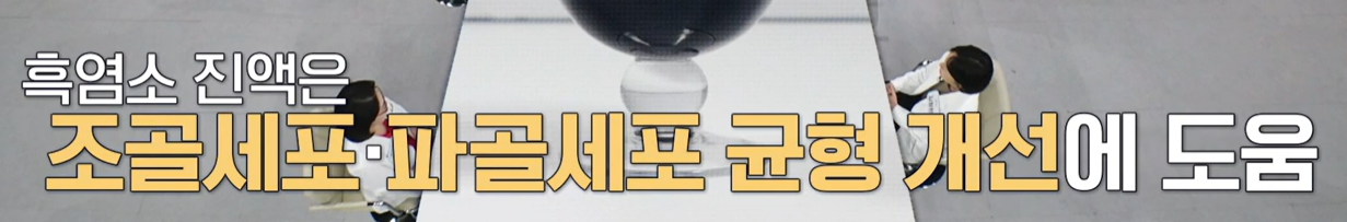 흑염소 진액 효능