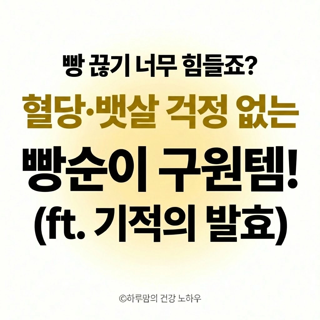 빵 끊기 너무 힘들죠 빵순이가 찾아낸 살 안 찌는 '기적의 건강빵' 정체! (혈당&뱃살 걱정 뚝!)