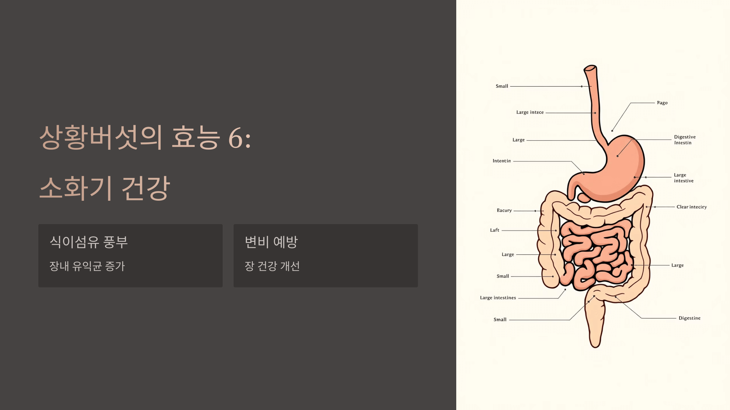 상황버섯과 관련된 사진입니다.