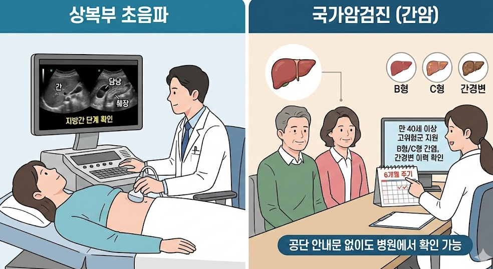 상복부 초음파 검사와 국가 간암 검진 대상 조건 및 검사 주기를 비교한 설명 이미지