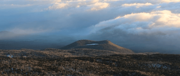 제주도 여행 가을 겨울 가볼만한 곳 오름 추천 입장료 소요시간 반려동물 동반