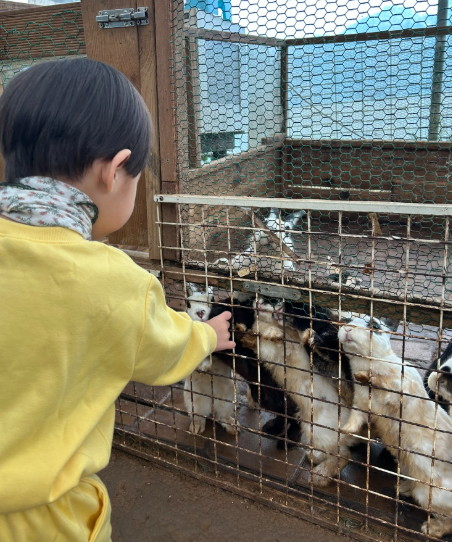 동생 생기고 떼쓰는 첫째