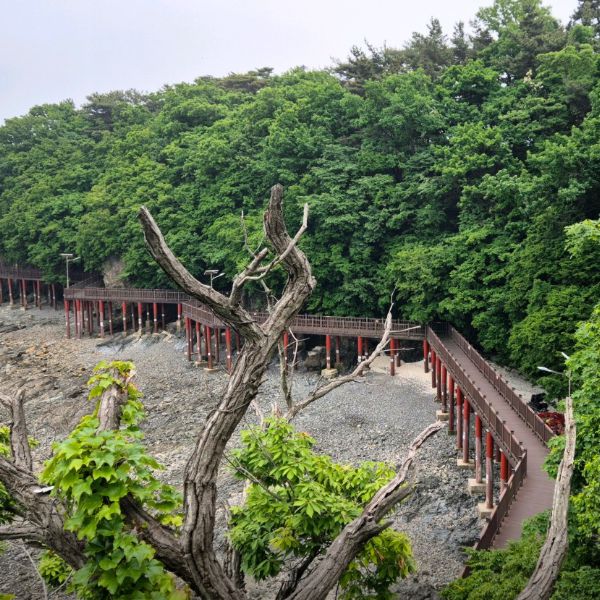 영흥도