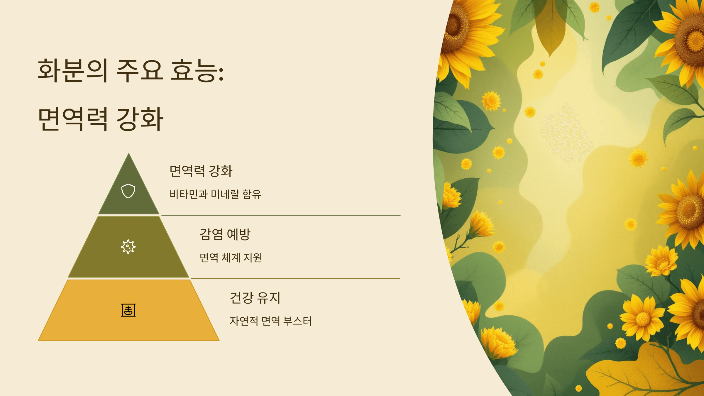 화분 사진입니다.