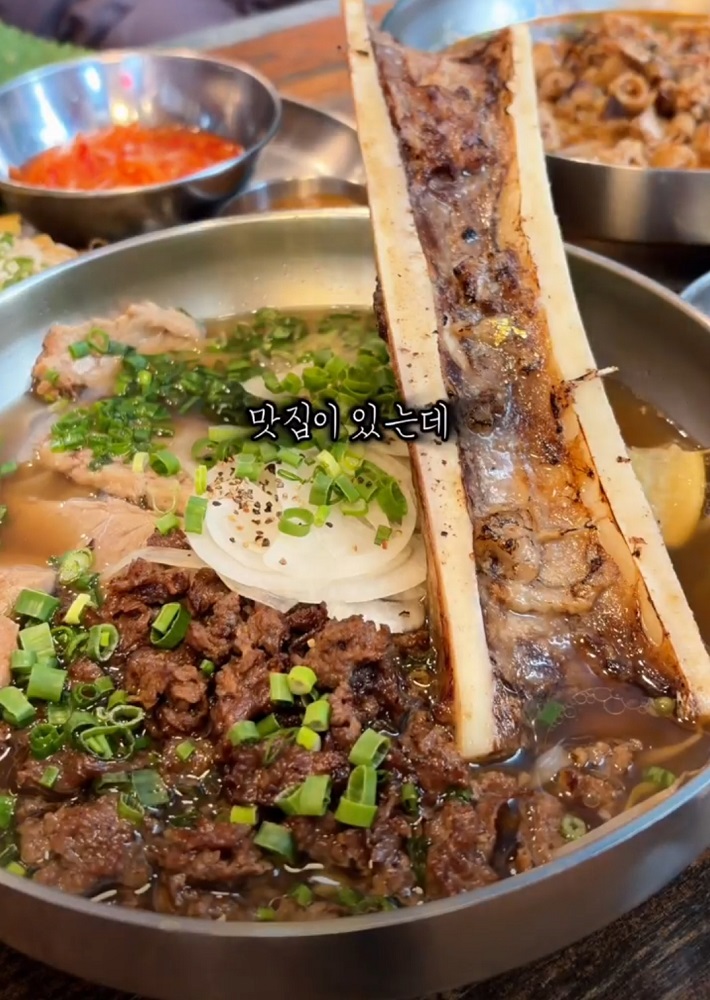 파주-미국식- 쌀국수-달인-비엣남