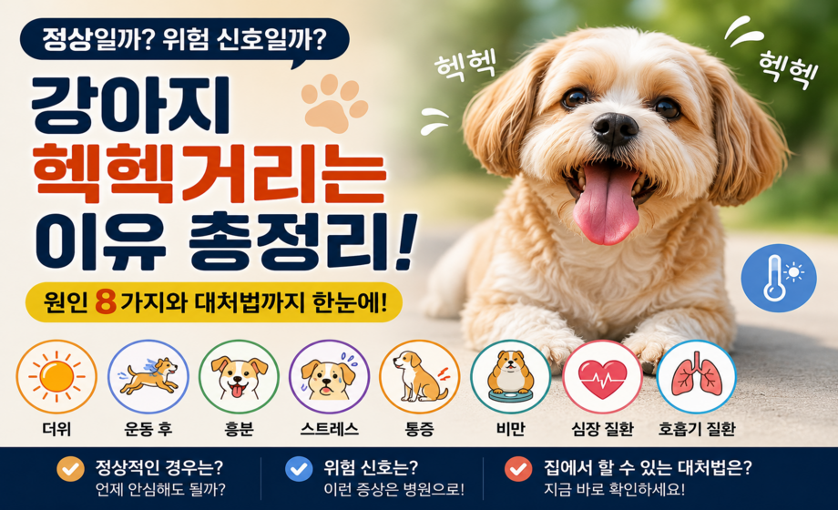 강아지 헥헥거리는 이유 대표 이미지