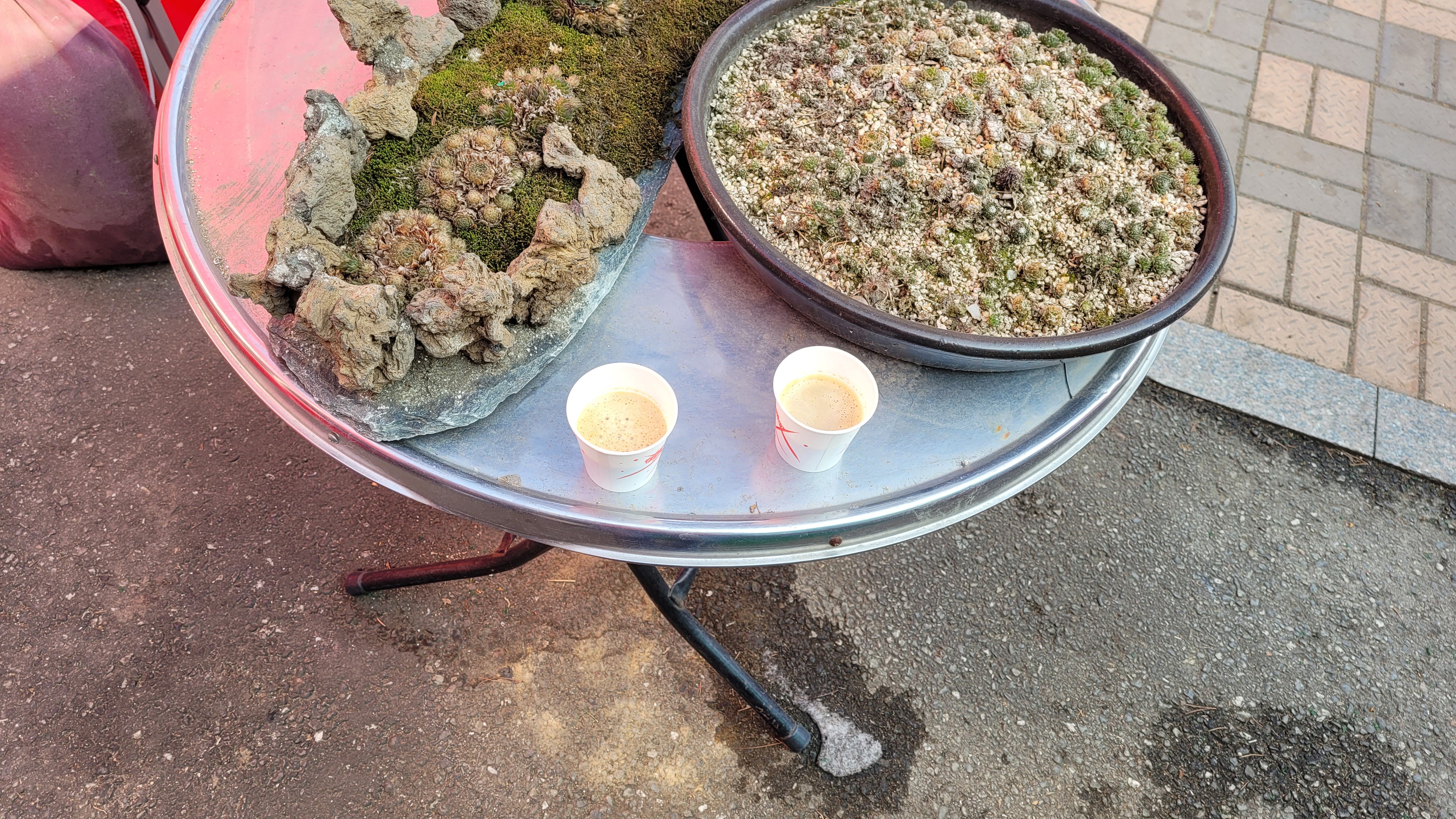 식사 후 커피 마무리