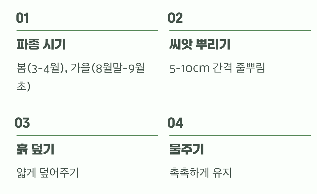 씨앗부터 도전! 작은 생명의 시작