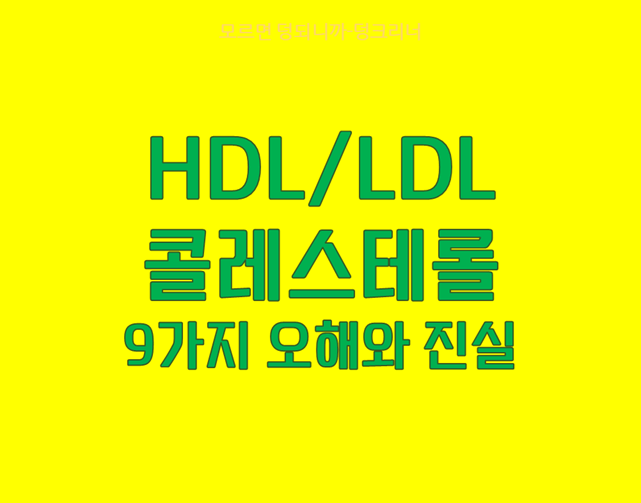 HDL LDL 콜레스테롤