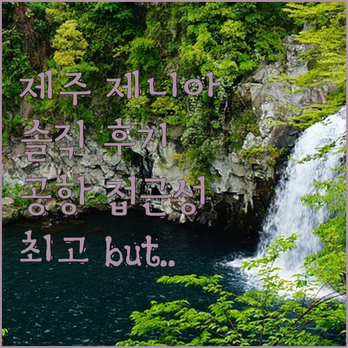제주 '제니아 호텔' 솔직 후기 직원