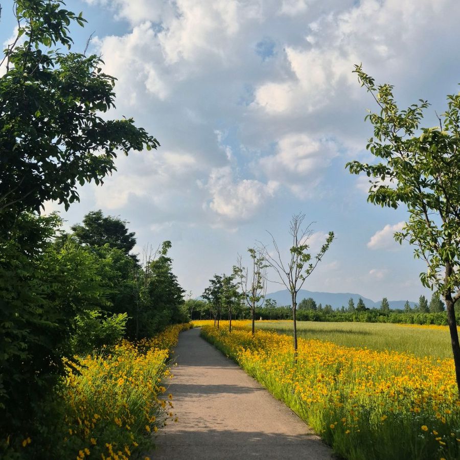 낙동강체육공원