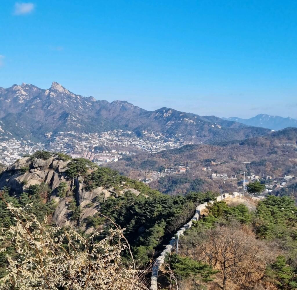 2025년 을사년 새해 해돋이 명소 top10