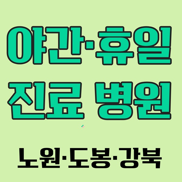 서울 노원·도봉·강북 소아 야간·휴일 진료 병원