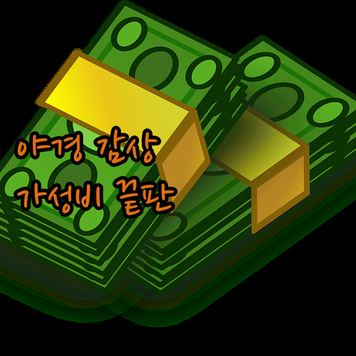 대당불야성 야경 ✨ 비엔나 인터내셔널..