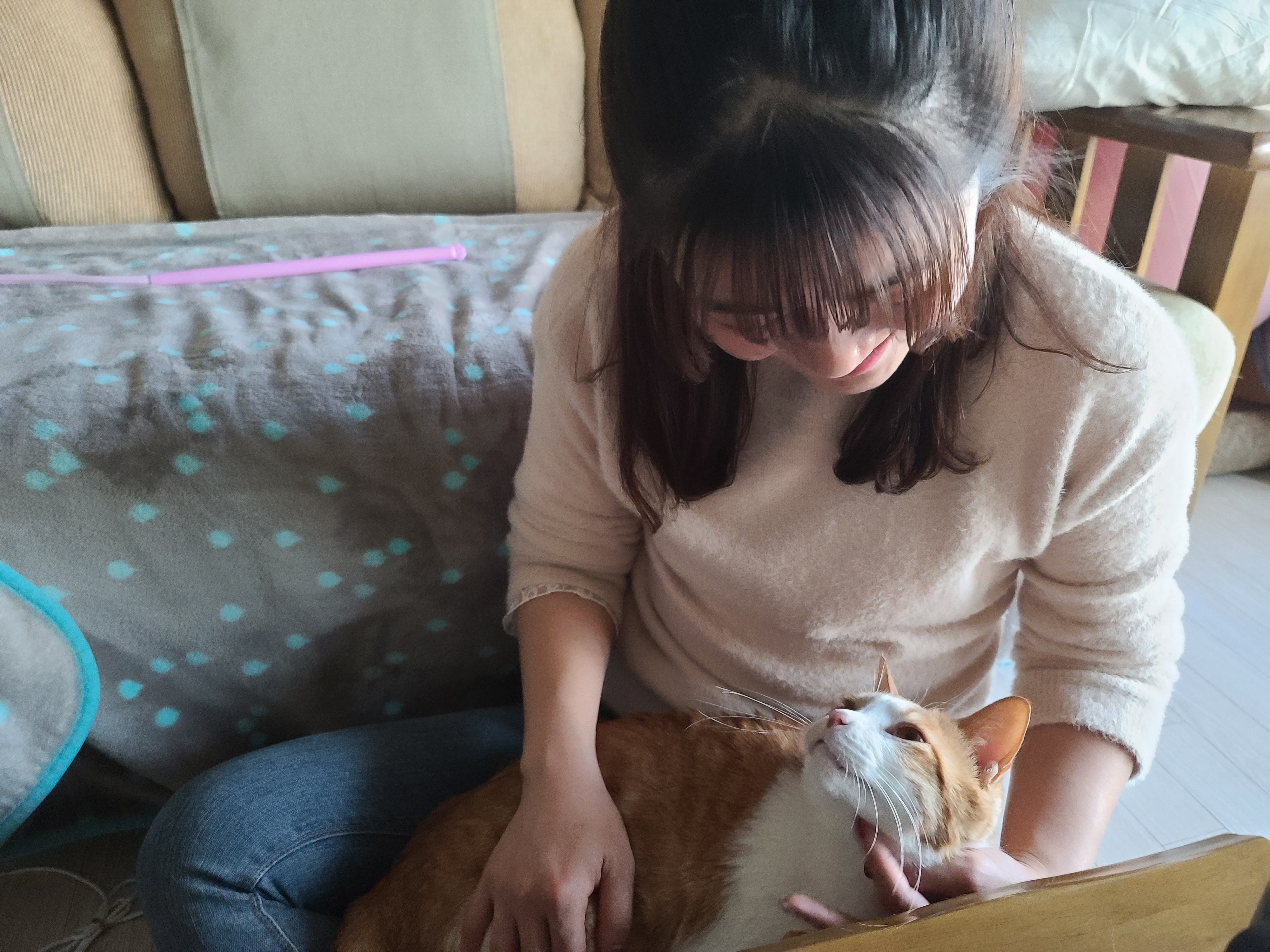 사실...호야랑 막둥이는 접대냥이었다!(feat.원조 접대냥 루나와 재밌는포즈 루디)