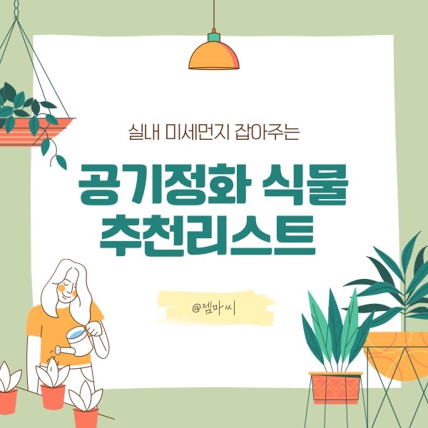 미세먼지 공기정화 식물 추천