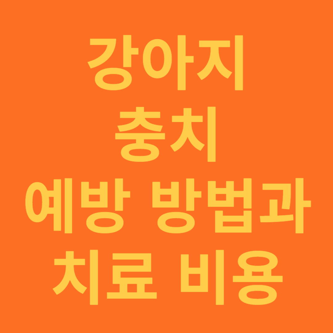 강아지 충치 예방 방법과 치료 비용