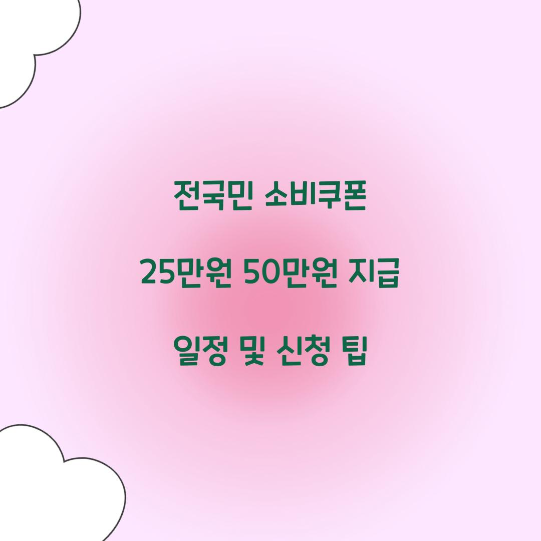 전국민 소비쿠폰