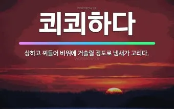 쾨쾨하다 쾌쾌하다 퀘퀘하다 맞춤법 사용 예문_33