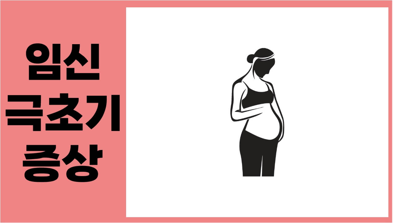 임신 극초기 증상의 구체적 사례를 들기전 임신한 나의모습을 나타내었다
