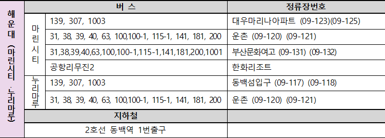 부산 불꽃 축제 사진