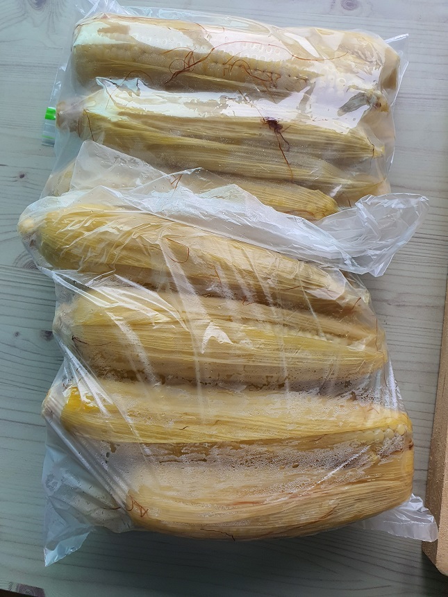 옥수수맛있게삶는법