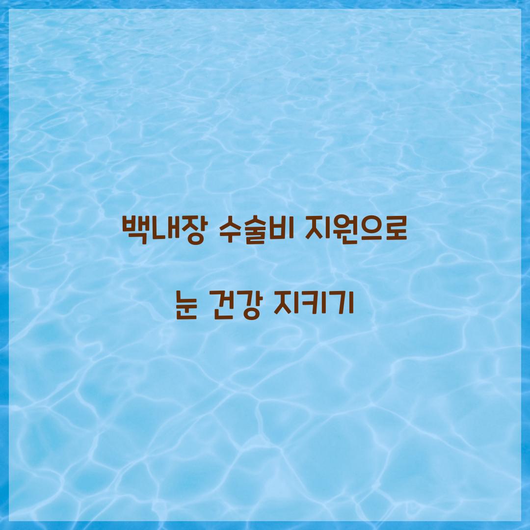 백내장 수술비 지원