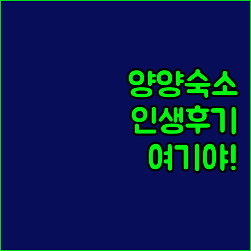강원도 양양 여행 숙소 베스트 5곳 ..