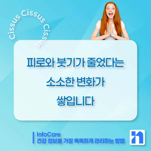 시서스 다이어트, 복용방법