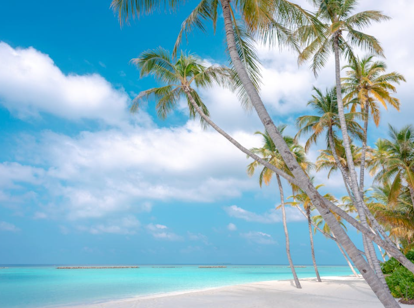 베트남 나트랑 여행 준비물