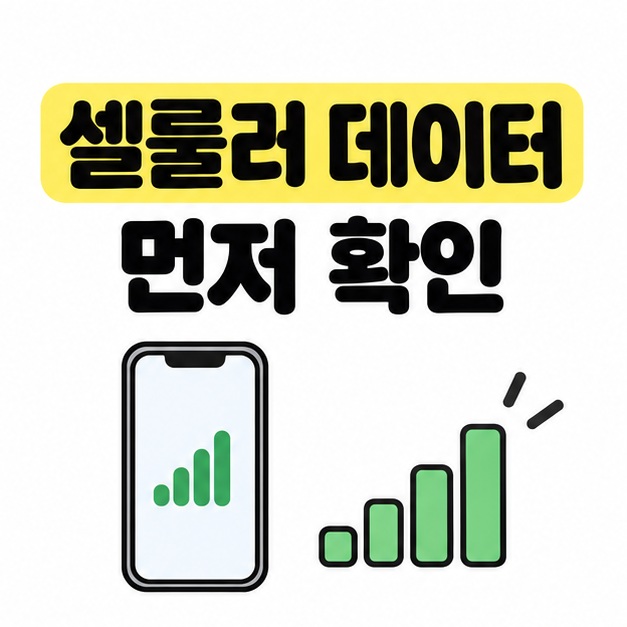 셀룰러 데이터를 먼저 확인하는 아이폰과 통신 신호 그림