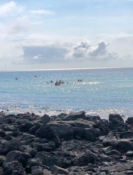 제주도 렌터카 최저가