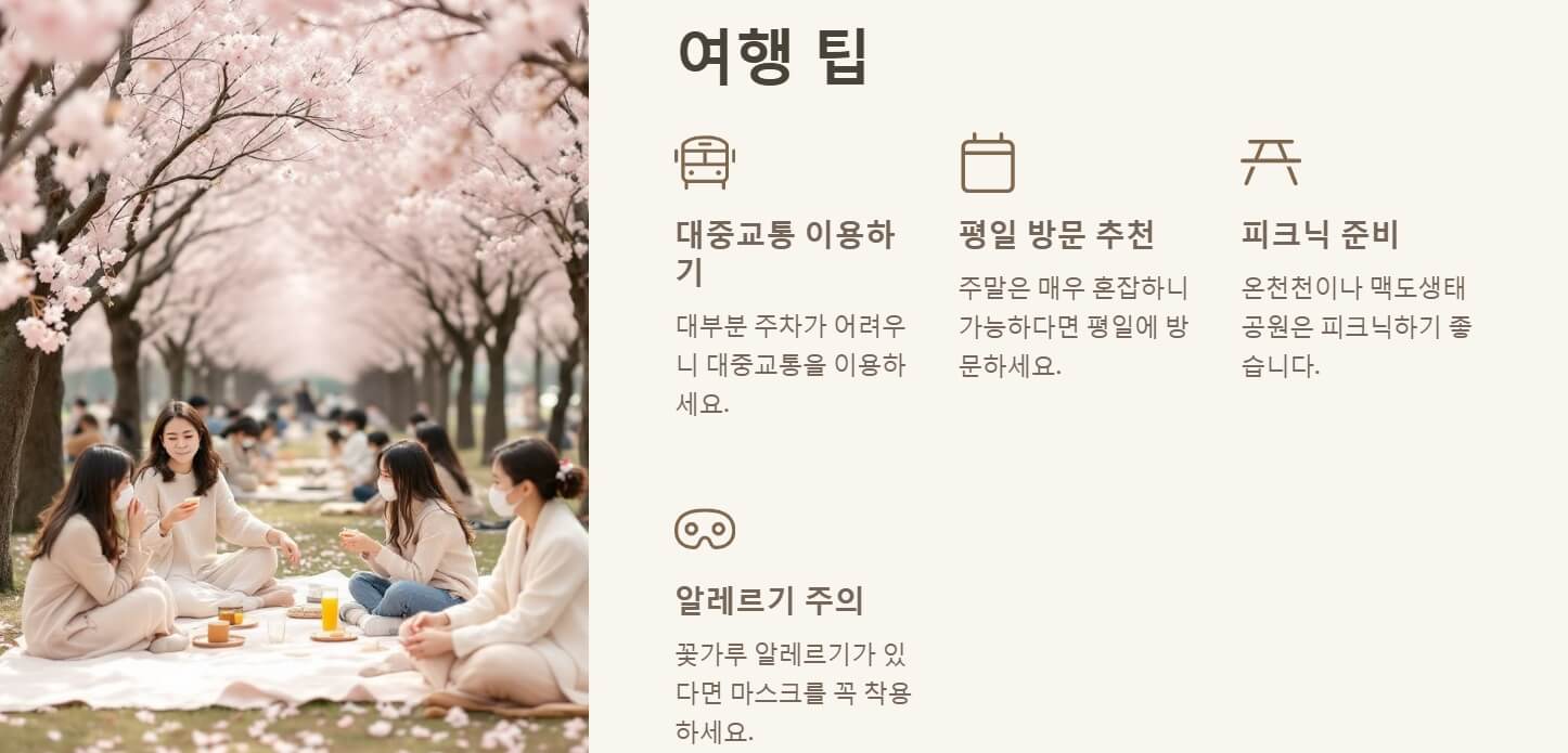 부산 벚꽃 명소