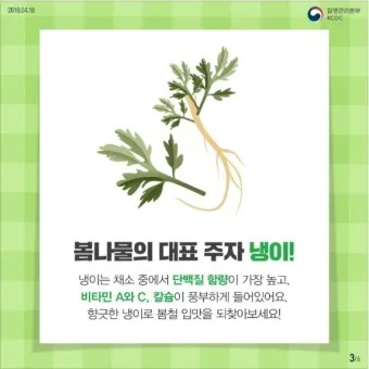 4월 제철음식 제철 생선 과일 채소 모음_17