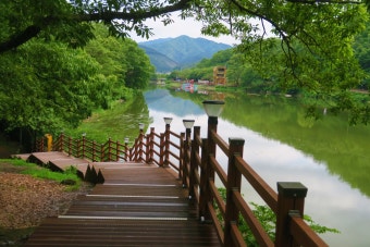 6시 내고향에 나온 함안 강변횟집&amp;#44; 정말 맛있을까?