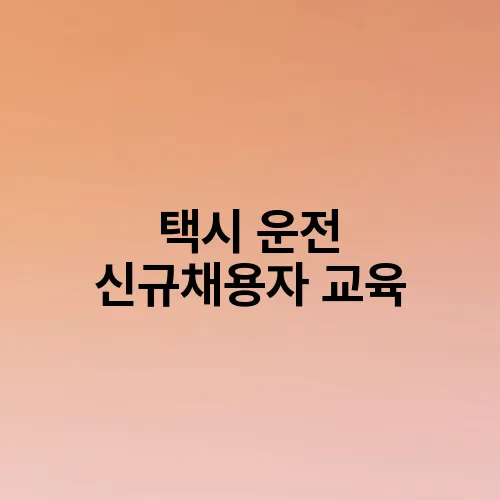 택시 운전 신규채용자 교육