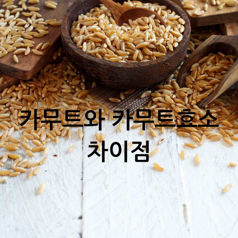 카무트와 카무트 효소 비교
