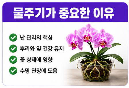 물주는 주기가 중요한 이유