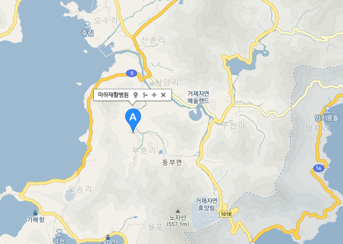 마하재활병원 위치