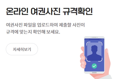 여권 재발급 온라인 신청 방법 (준비물, 비용, 사진)