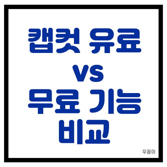 캡컷 유료 vs 무료 기능 비교