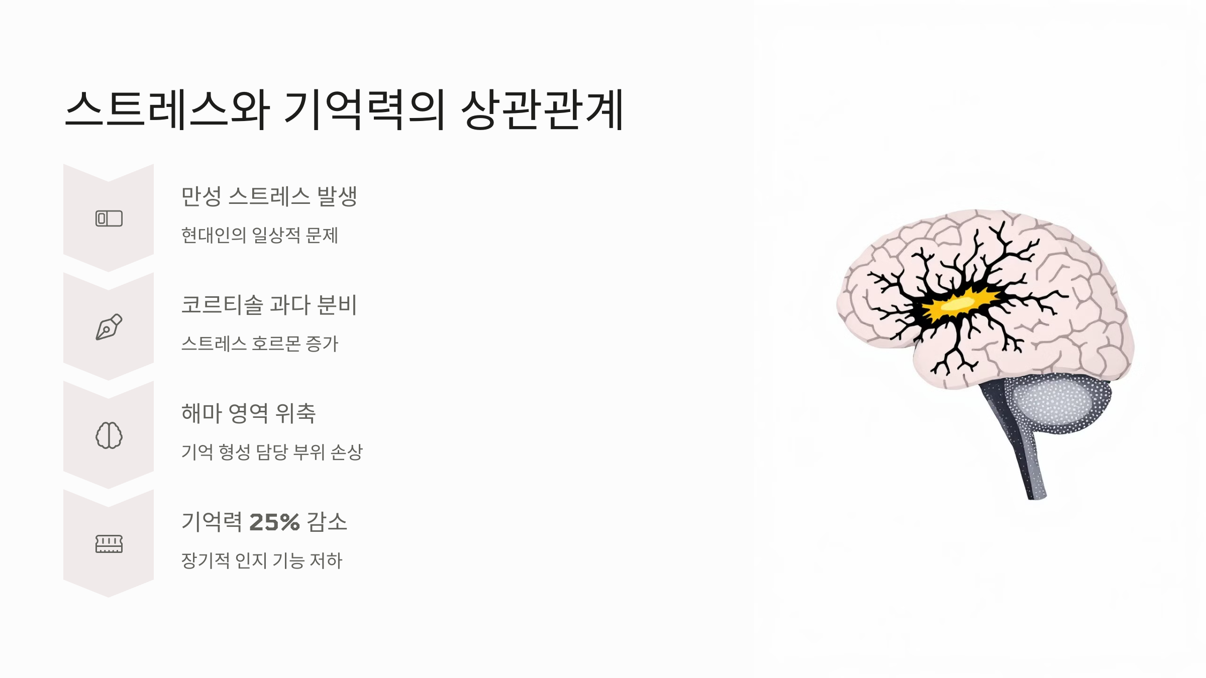 스트레스와 기억력 저하