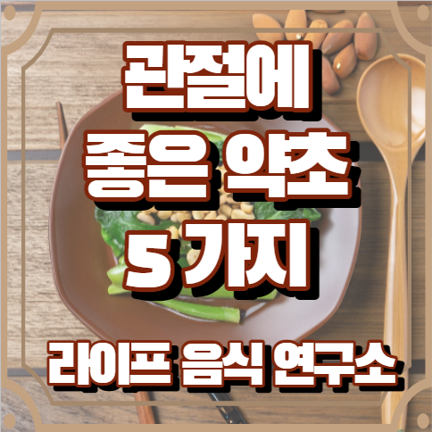 관절에 좋은 약초 5가지