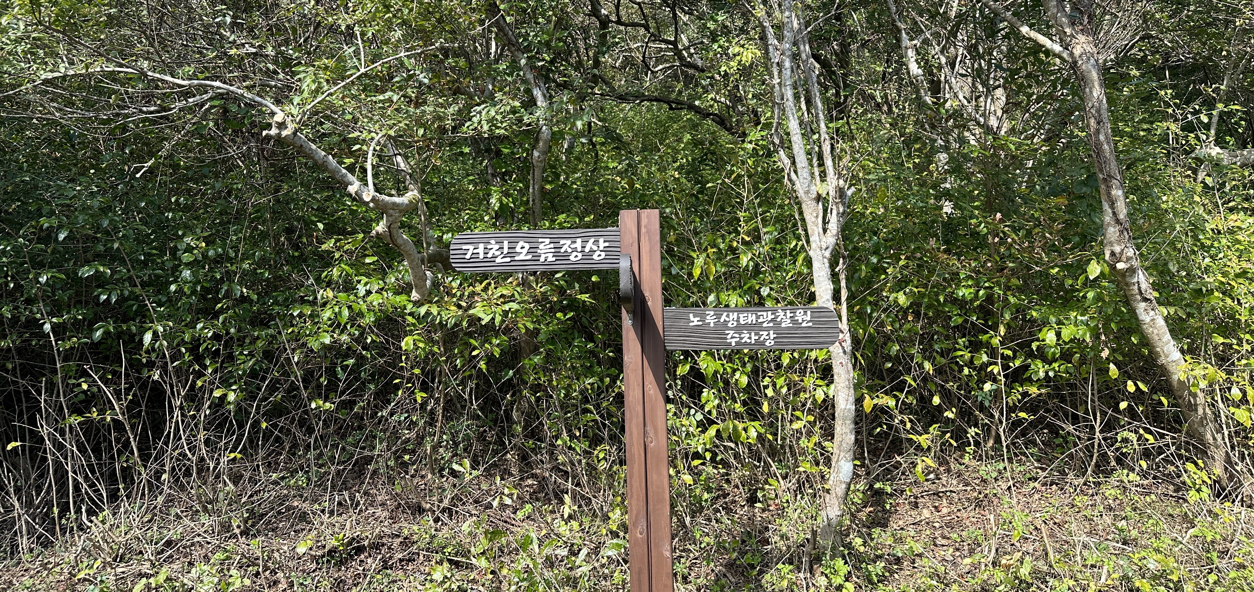 거친오름 산책로