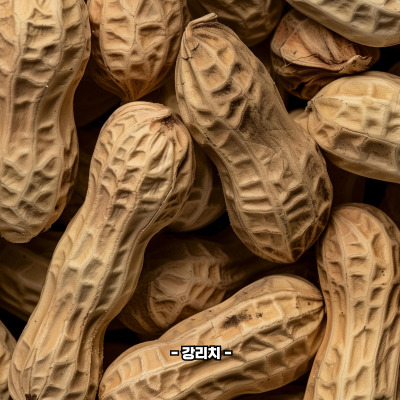 땅콩 부작용