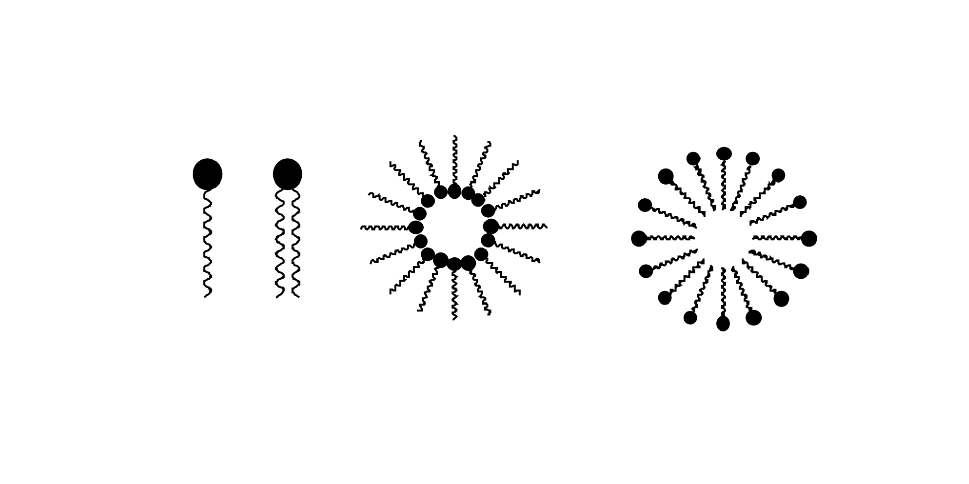 계면활성제 구조: 마이셀 사진