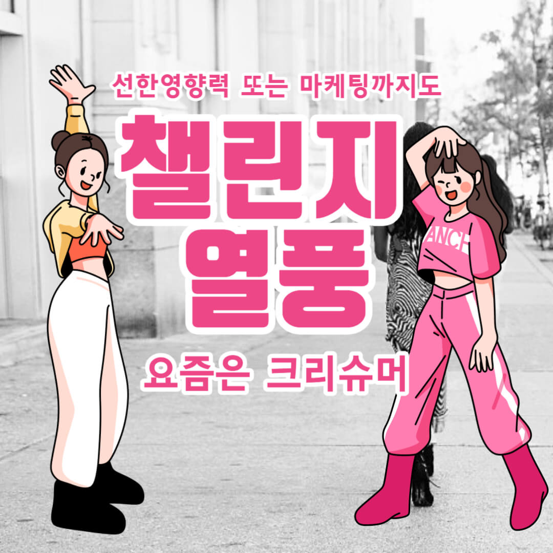 댄스챌린지 크리슈머